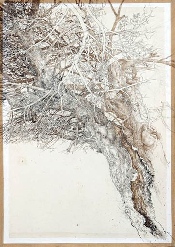 Arbre V - encre de Chine - 100 x 70 - 1990